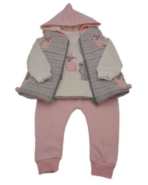 BABY SET OF TROUSERS, BLOUSE AND H striped vest with hood